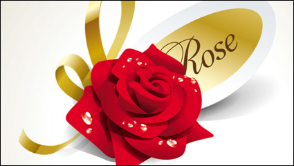 Rosas hermosas 02 - vector de material