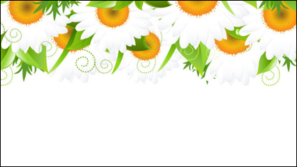 Flores de encaje ptalos de fondo 01 - vector de material