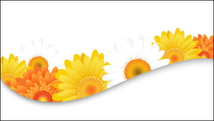 Flores ptalos fondo de encaje 03 - vector de material