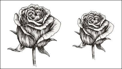 Pintado a mano material de las flores 05 - vector de material