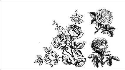 Pintado a mano material de flores 01 - vector de material