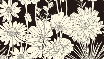 Exquisito negro y grficos de lnea blanca fondo 03 - vector de material