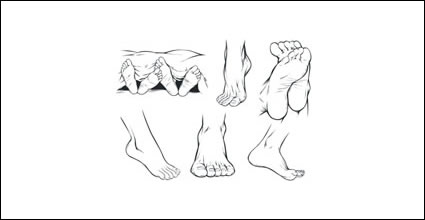 Vector pies