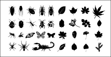 Espadas, pjaros, esqueletos, insectos, hojas de Vector