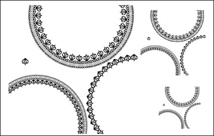 Ronda de encaje borde del material Vector