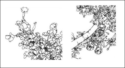 Flor de mariposa, amapola, acianos, perales, cerezos en flor