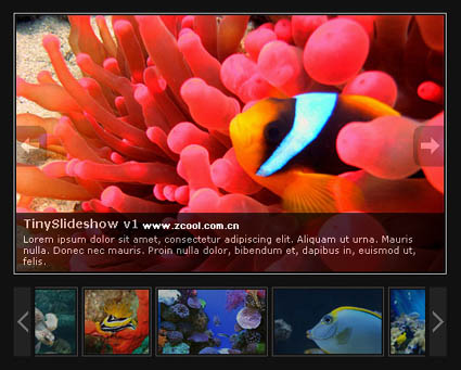 SlideShow Cdigo Web Album (JS + CSS)