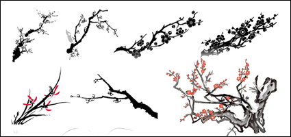 Plum vector Orchid