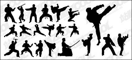 Kung Fu Accin Silhouette Vector