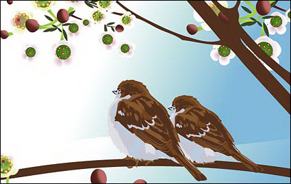 Dos pjaros de vectores