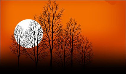 Puesta del sol crepsculo rbol Luna Vector
