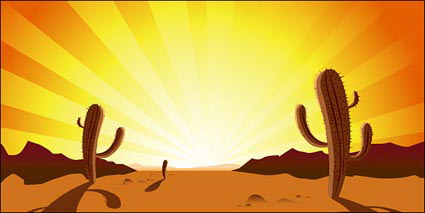 Cactus, puesta de sol, desierto, vector caliente