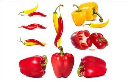 cpepper, verduras, pimientos vector