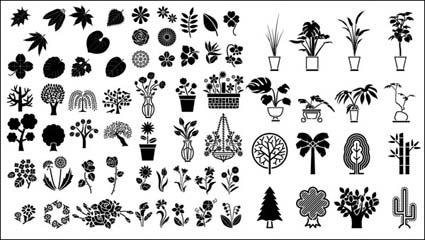 Flores y rboles, plantas ornamentales, plantas de bamb