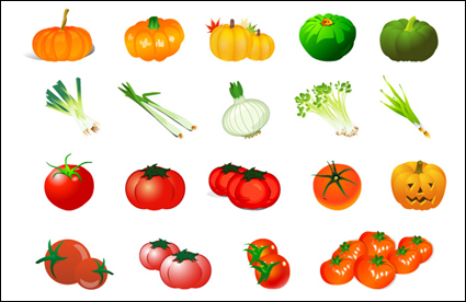 Vegetales Vector - Pumpkin Tomate Cebolla Ajo