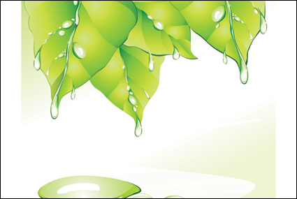 Agua Verde Hoja